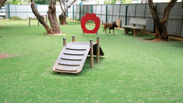 גן הנשיא. גינות כלבים בעיר עם דשא סינטטי. דעות מגוונות לשני הכיוונים